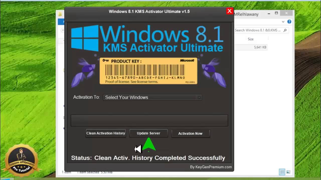 windows 8.1 build 9600 activator